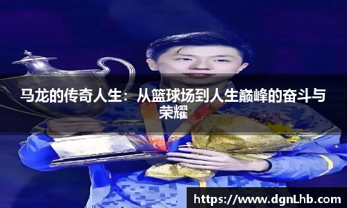 jbo竞博电竞平台