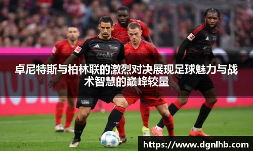 jbo竞博电竞平台