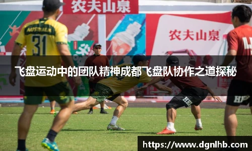 飞盘运动中的团队精神成都飞盘队协作之道探秘